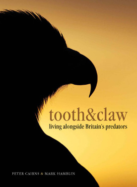 Tooth & Claw  Living alongside Britains predators