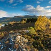 View over Rothiemurchus Forest to Cairngorm mountains, Cairngorms National Park, Scotland, UK
