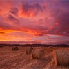 Bales of straw at dawn, Spey Valley, Cairngorms Nattional Park, Scotland, UK, October