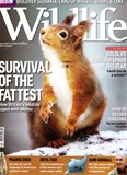 BBC Wildlife February 2010